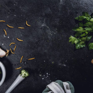 Mehlwurm_Petersilenpesto