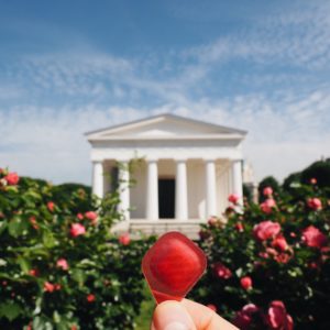 Processed with VSCO with a6 preset