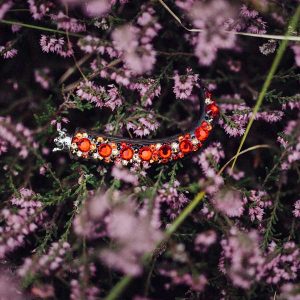Wild-Crystal-2