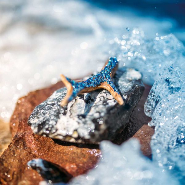 Wild-Crystal-7